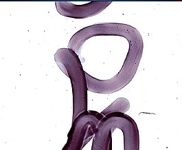 倒計(jì)時