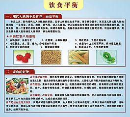 素食生活  飲食平衡