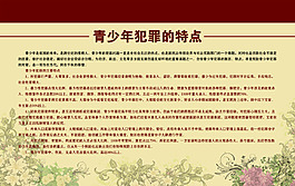 青少年犯罪特點(diǎn)