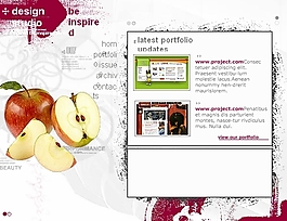 設(shè)計整站FLASH動畫