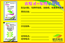 實驗牌
