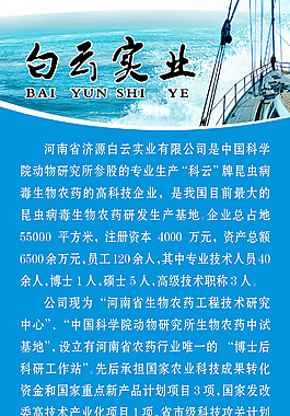 企业简介X展架素材
