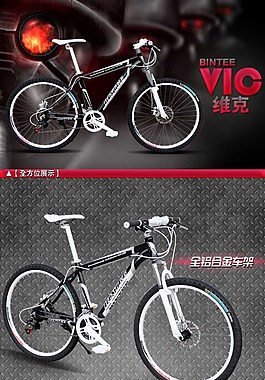 自行車寶貝描述
