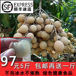新鮮龍眼主圖產(chǎn)品圖