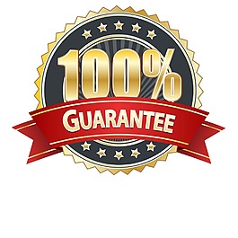 100新鲜图标