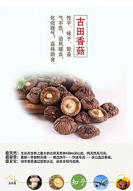 香菇詳情頁