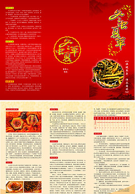 冬蟲夏草宣傳單