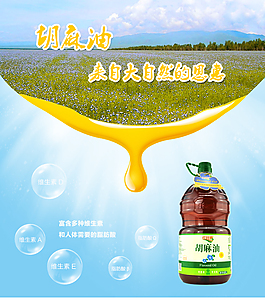 淘寶詳情頁(yè)設(shè)計(jì)食品模板