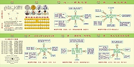 人體五行