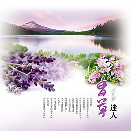 唯美風景素材