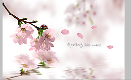 梅花源文件PSD