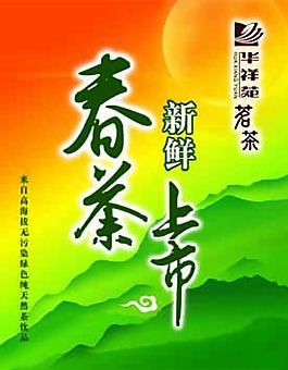 茶