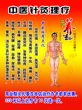 養(yǎng)生中醫(yī)針灸理療