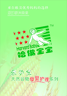 哈佛寶寶