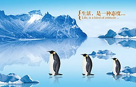 企鵝