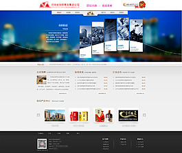 公司網(wǎng)站
