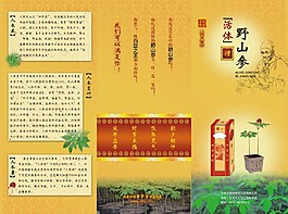 三折頁(yè)