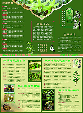 鐵皮石斛宣傳單