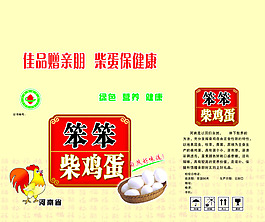 柴雞蛋裝箱