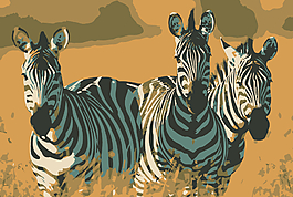 斑馬插畫