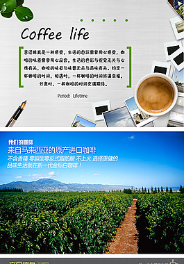 淘寶店鋪金標白咖啡寶貝描述