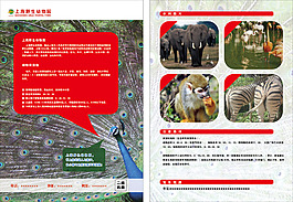 上海野生動物園單頁