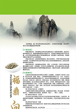 福鼎白茶噴畫設計