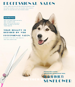 寵物海報(bào)