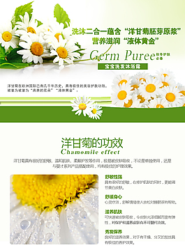 洋甘菊海報(bào)