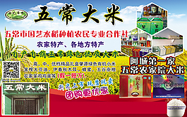五常大米