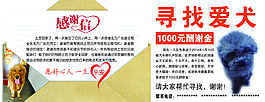尋找愛犬感謝信