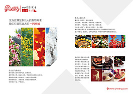 一網(wǎng)全城企業(yè)宣傳冊