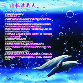 海豚湾恋人