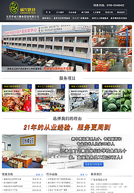 诚兴网站新版面