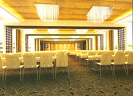 大型会议室模型