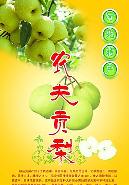 梨果海报