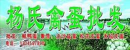 禽蛋批发店招