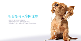 狗狗聽音樂PSD海報