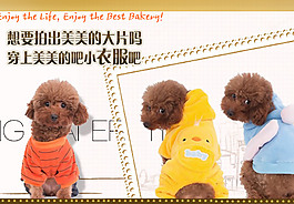 淘寶促銷