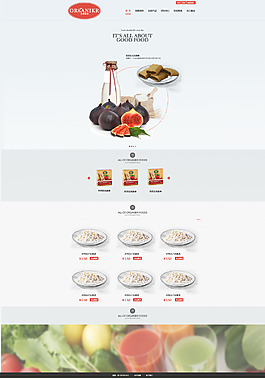 全球食客 organikr 網站首頁設計