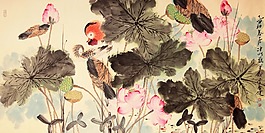 荷花鸳鸯.