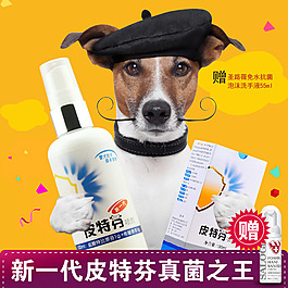 淘寶寵物用品直通車設(shè)計(jì)