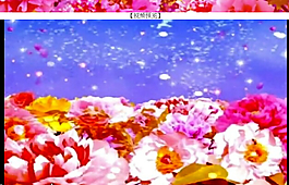 花瓣影視素材下載