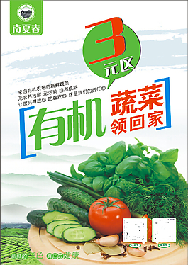 蔬菜價格水牌2
