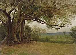 比爾史伯特風景作品圖片