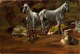 比爾史伯特動物藝術作品圖片