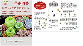 多肉植物单页