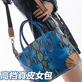 女包主圖