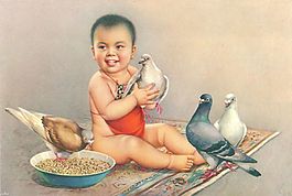 孩子愛(ài)鴿子