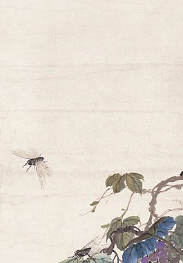 翠荫闻蝉声